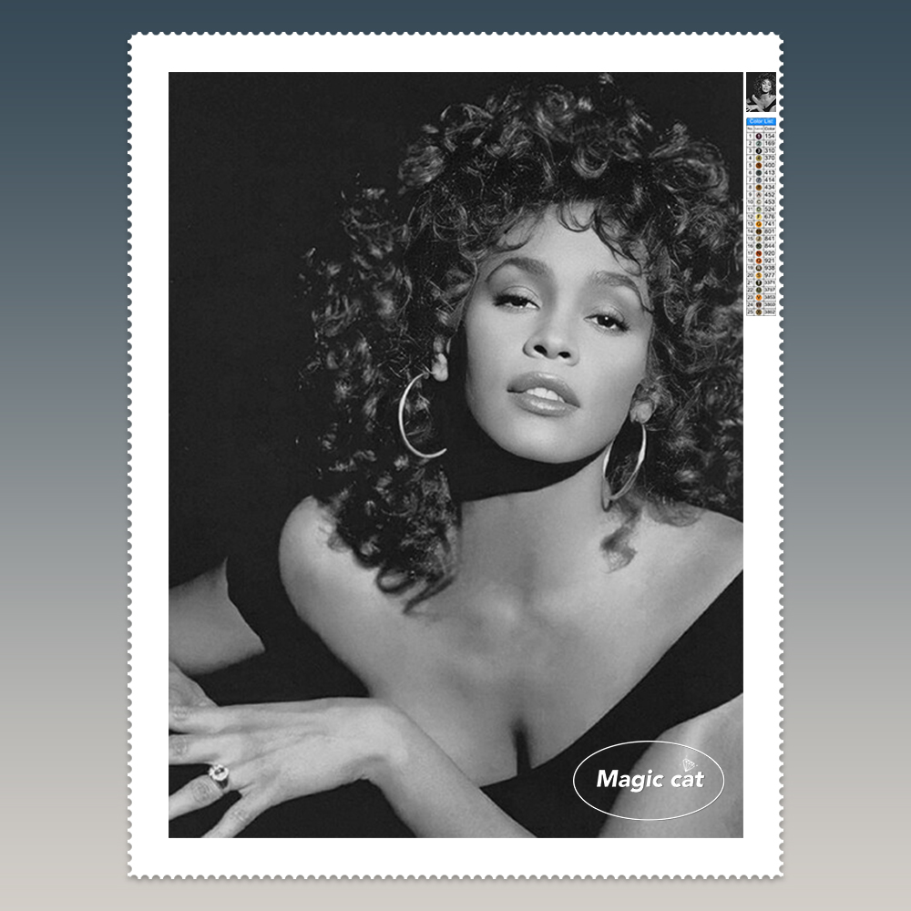 Home Decor Houston - W-whitney H-houston 5D Diamond Painting Female