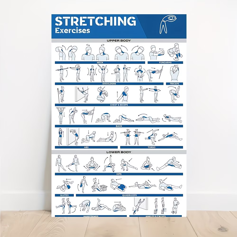 Home Decor Nepal - Modern Labeled Full-Body Stretches For Gym