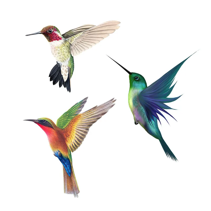 Home Decor Aesthetic Pinterest - Beautiful Hummingbird Hand Painted Bird Sticker