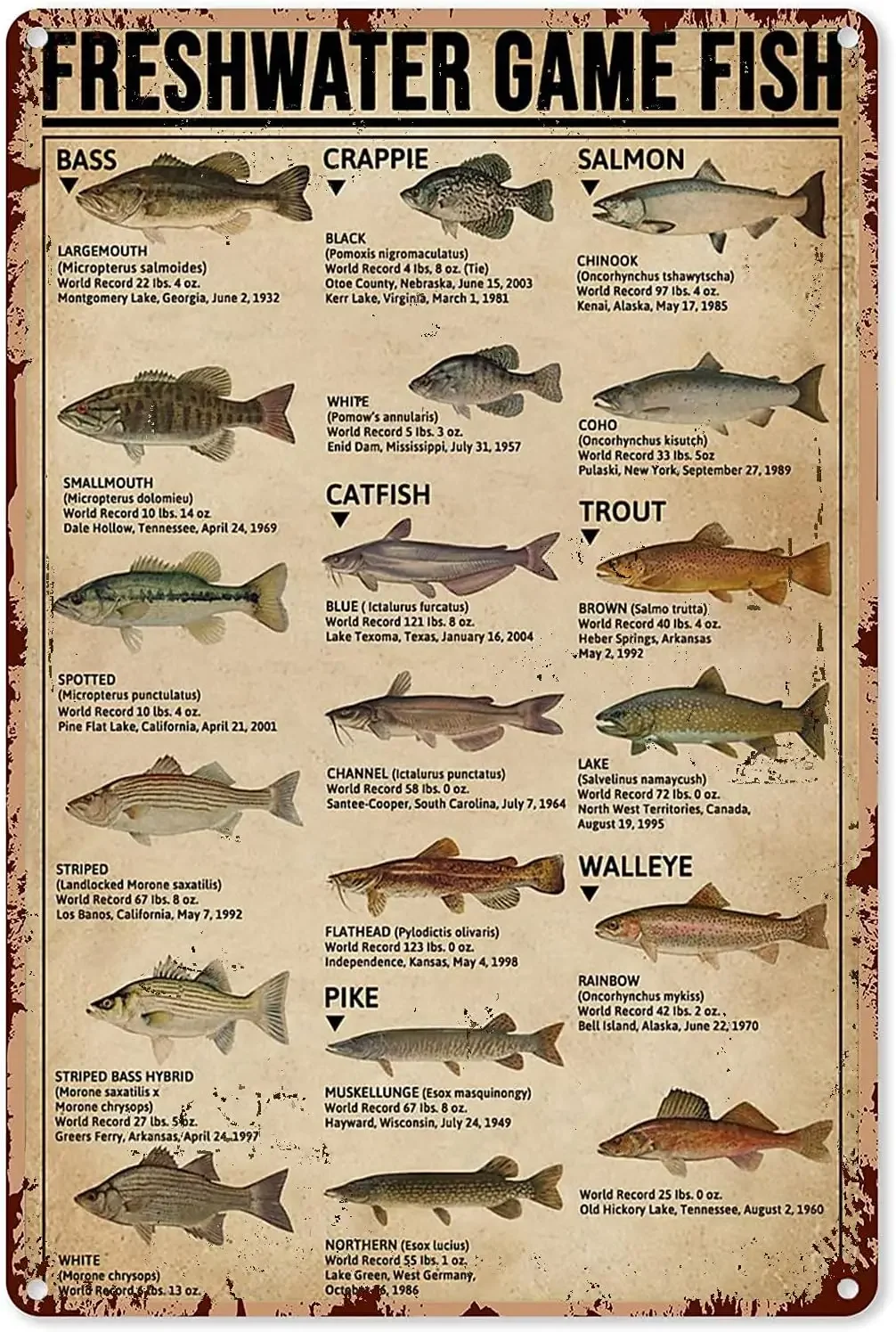 Fishing Art Posters Metal Sign - Home Decor Games Free のレビューと価格