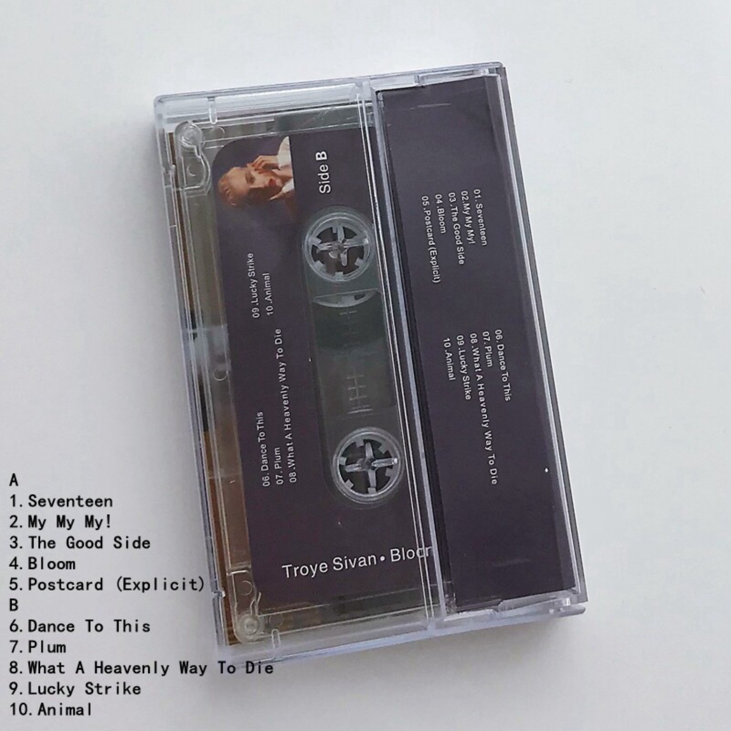 Rare Sealed Troye Sivan Bloom  - Home Decor Retro のレビューと価格