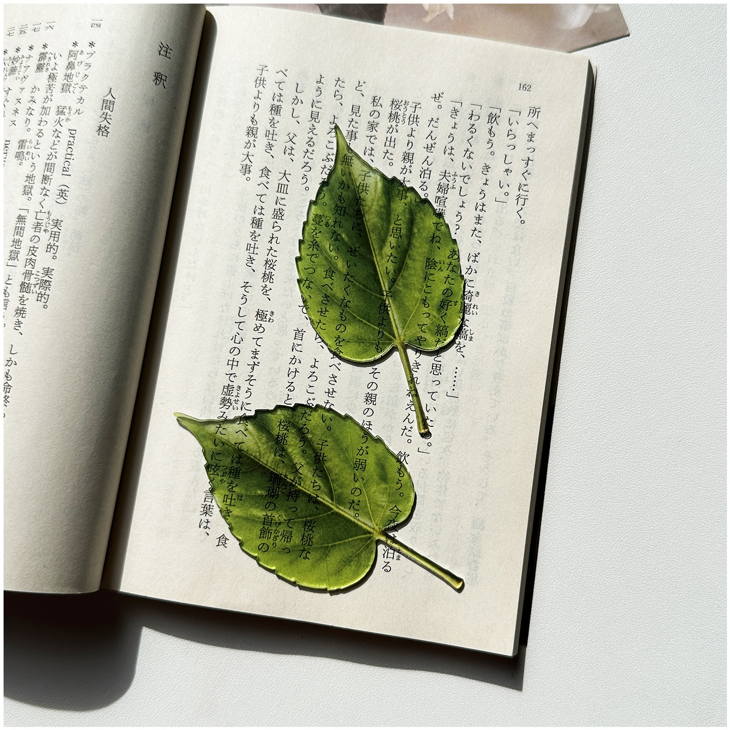 Original Bookmark Acrylic Tran - Aesthetic Bookend のレビューと価格