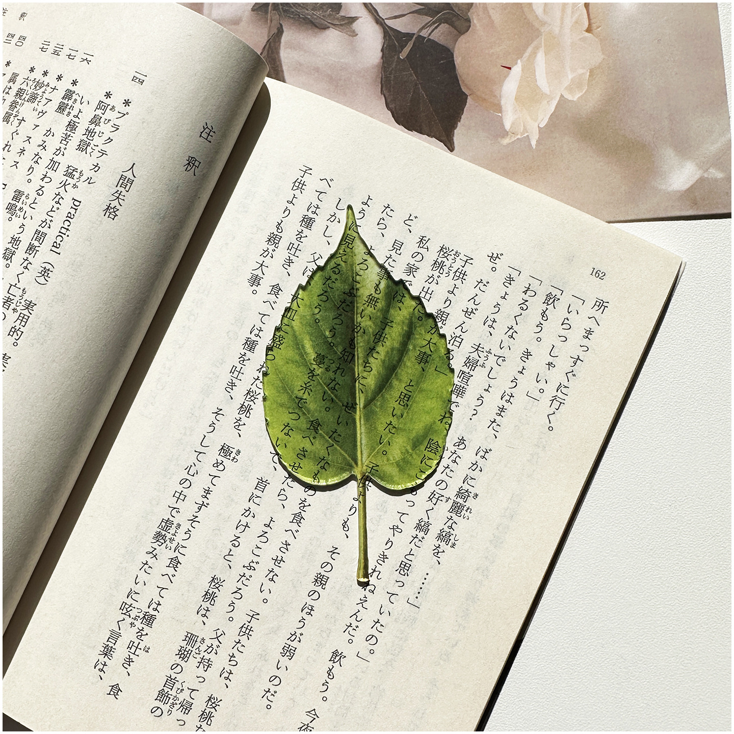Original Bookmark Acrylic Tran - Aesthetic Bookend のレビューと価格